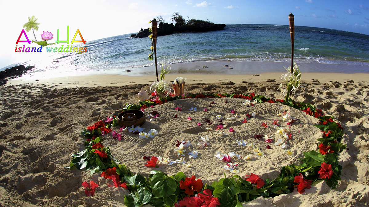 red hibiscus flower circle in Hawaii